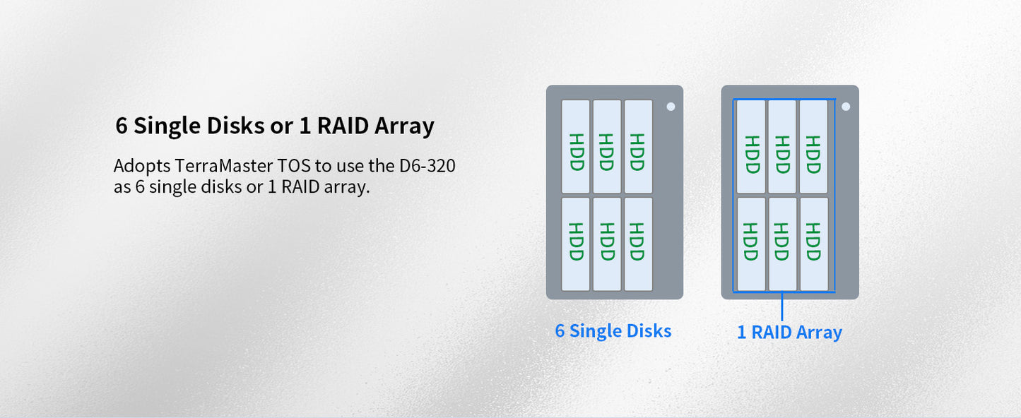 TERRAMASTER D6-320 外置硬盘盒 - USB 3.2 Gen2 10Gbps Type-C HDD 存储热插拔即插即用（无盘） 